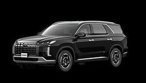 هيواندي باليسيد